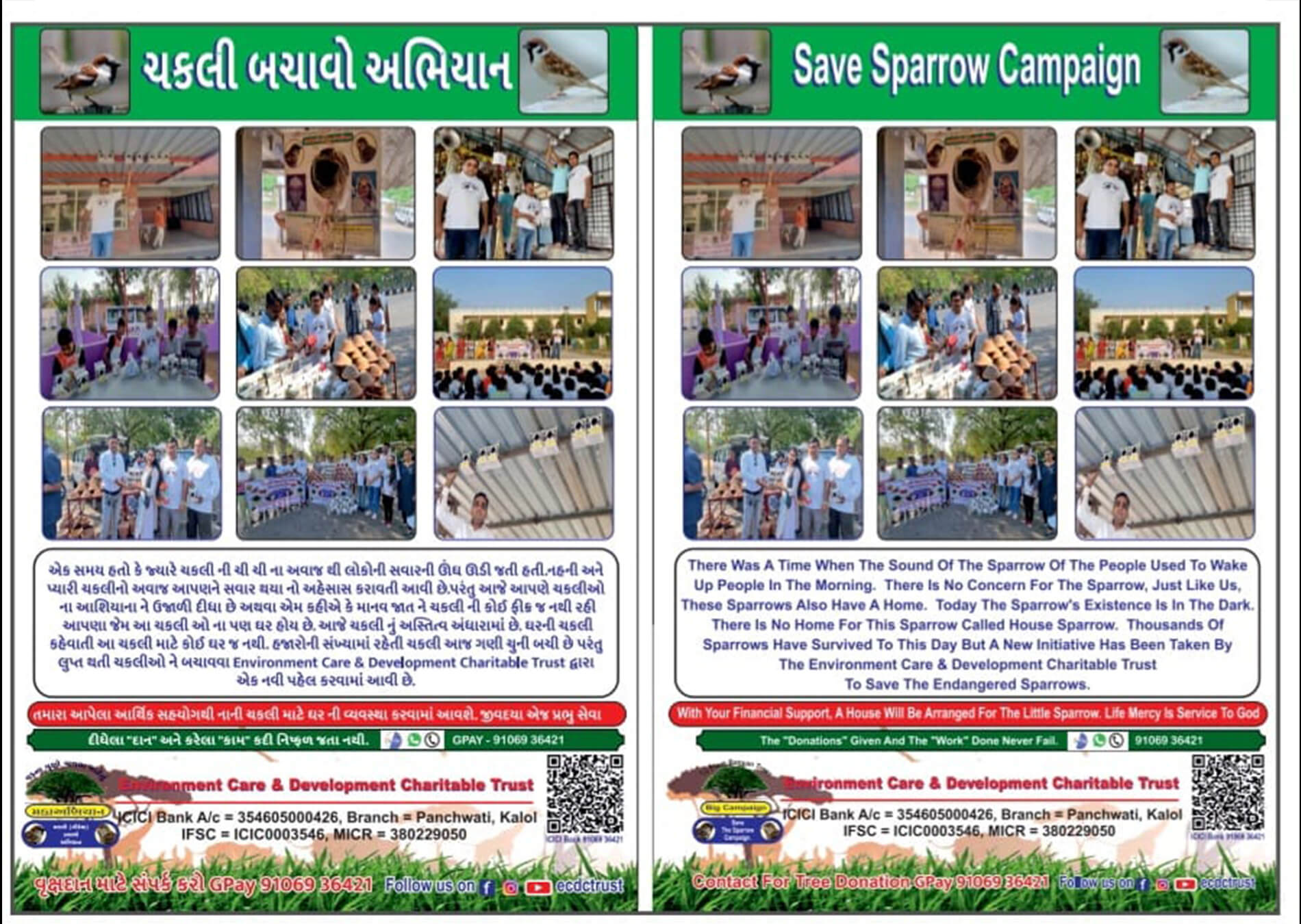 Save Sparrow