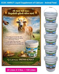 Animal Feed 